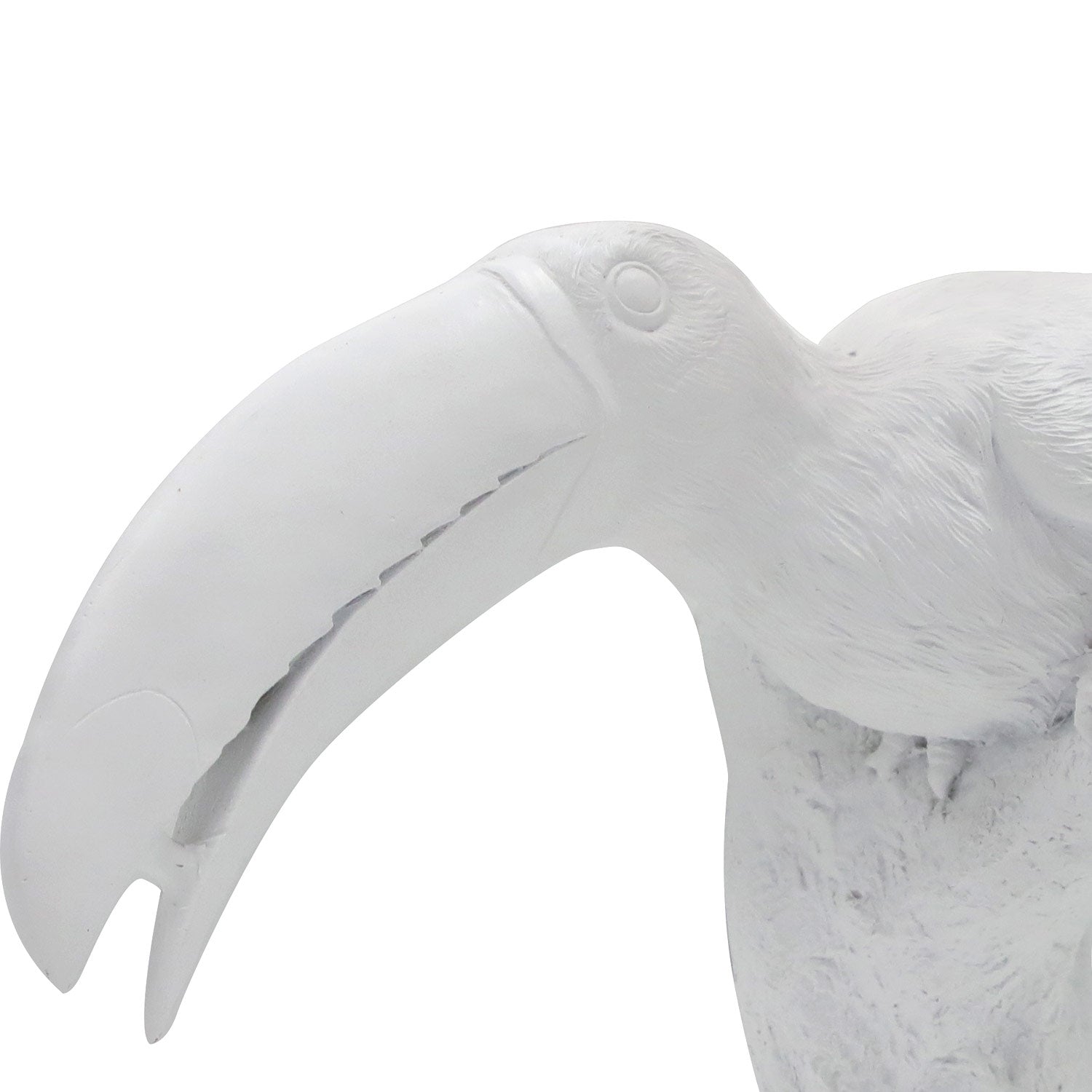 Bird Toucan 8.3"H Wall Art