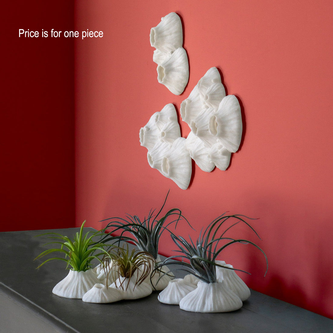 Paleo 9.5"W Wall Art