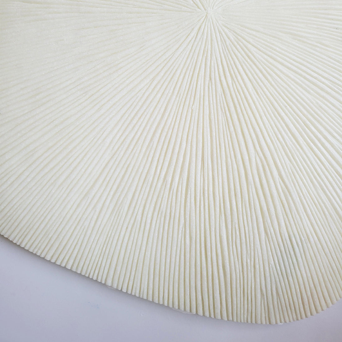 Groove 29"SQ , Cream