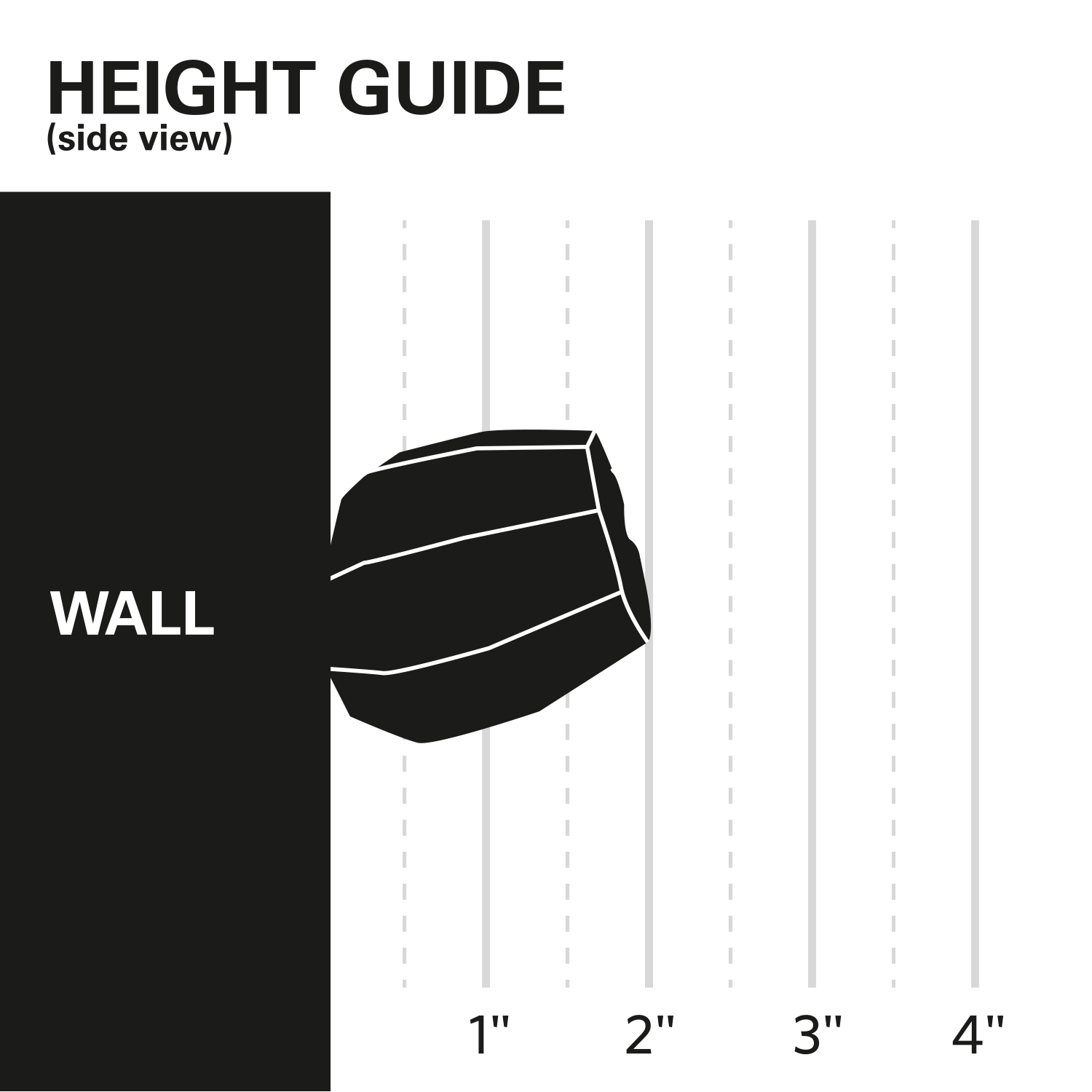 Barnacle Wall Play™ Gold Foil