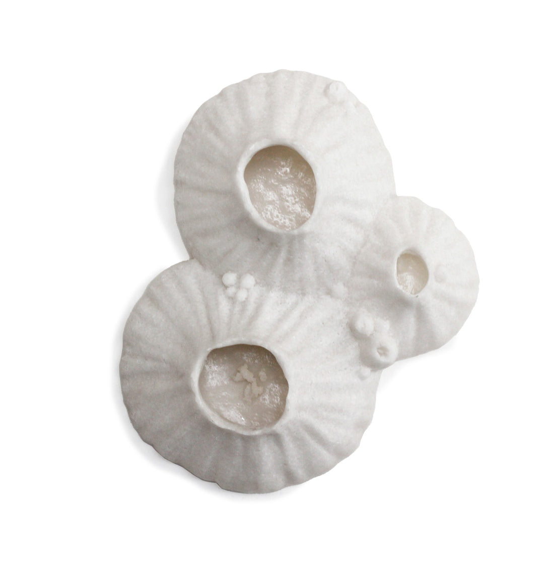 Paleo 6.8"W Wall Art