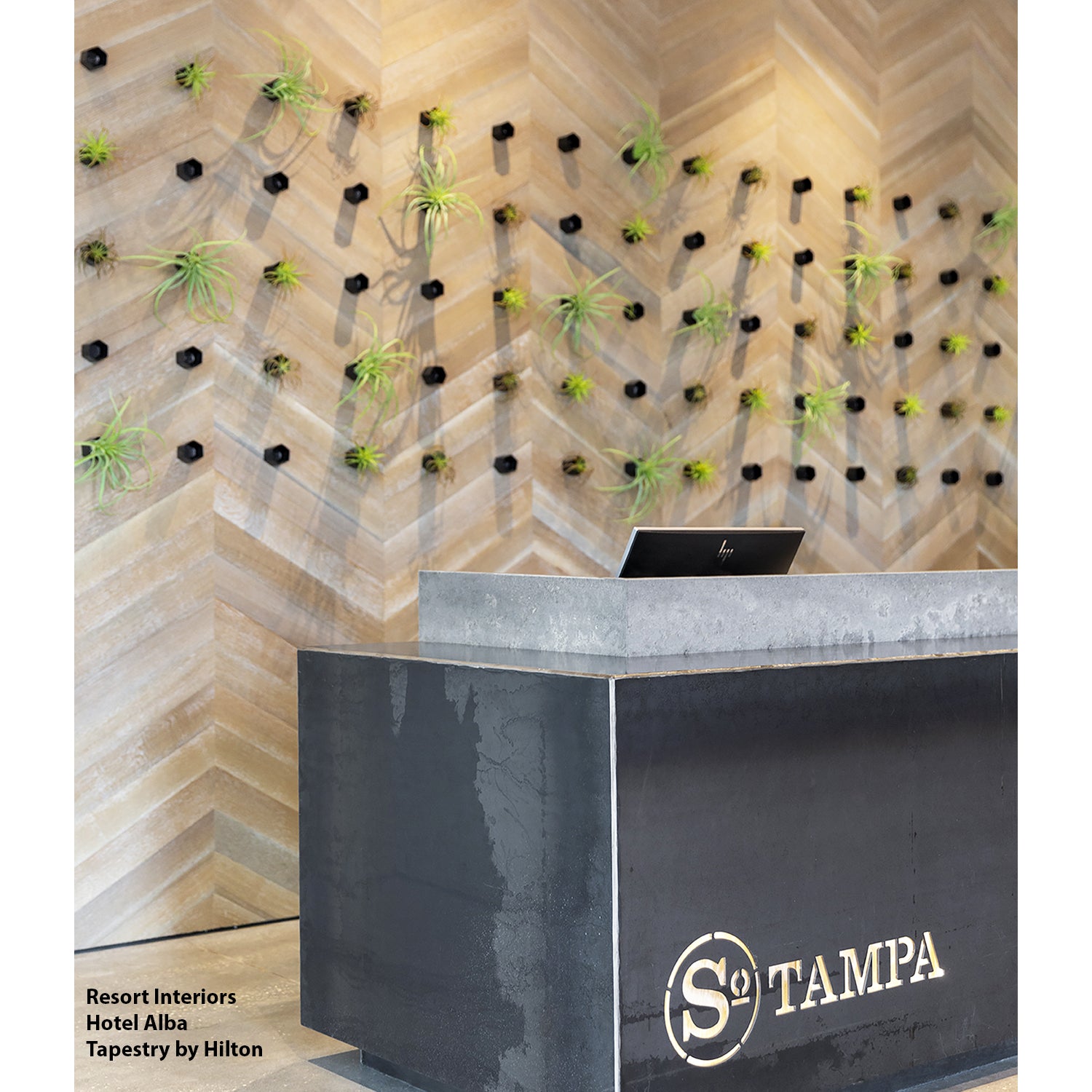 Beehive Wall Play™ Black