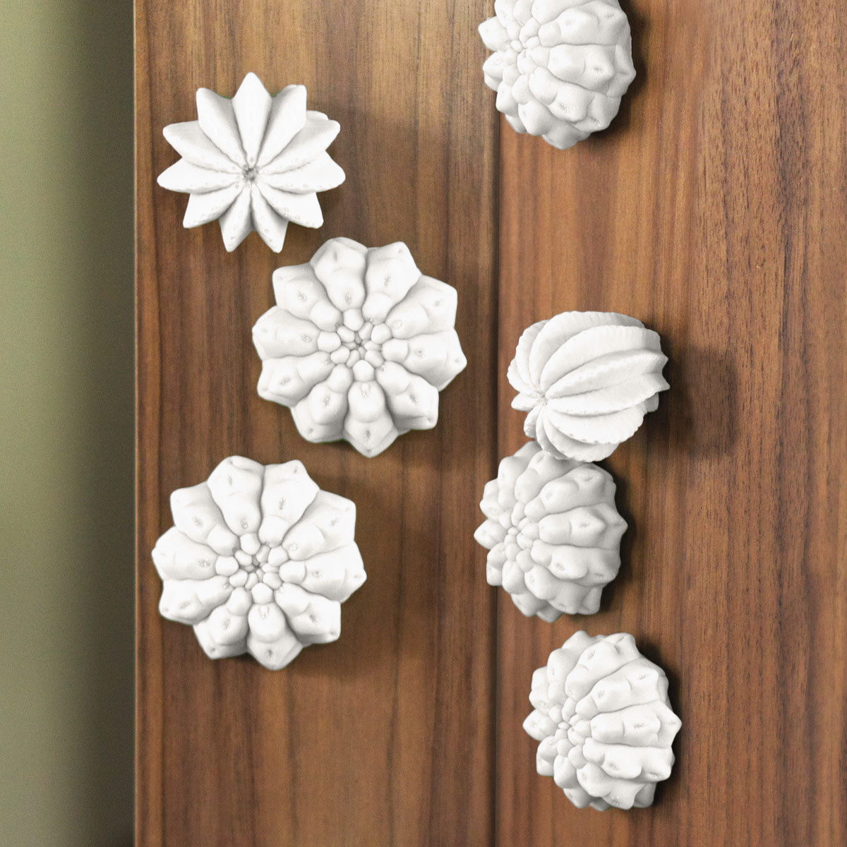 Cactus Wall Play™ Off-White