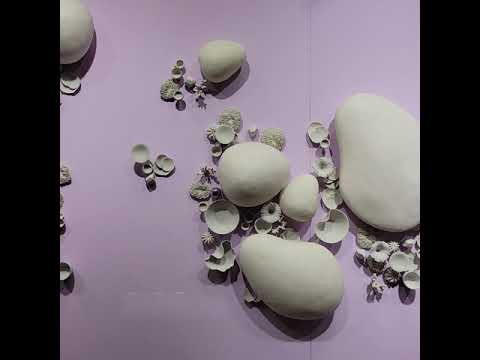 Cactus Wall Play™ Off-White