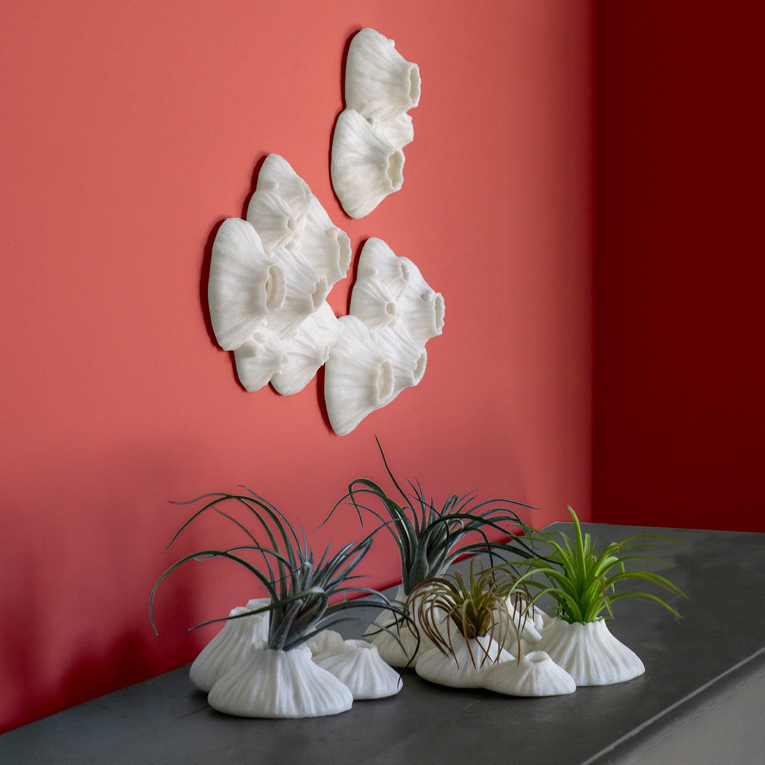 White barnacle sculptures hanging on a red wall with same style sculptures used as vases on table.