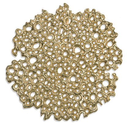 Sponge 17&quot;D Wall Art
