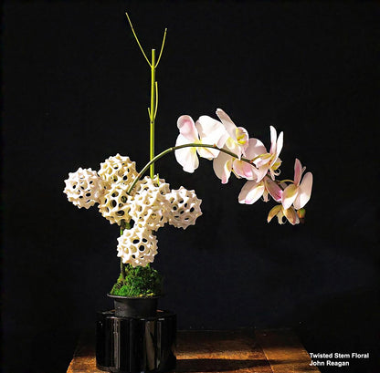 Pollen Sculptures, Set of 10