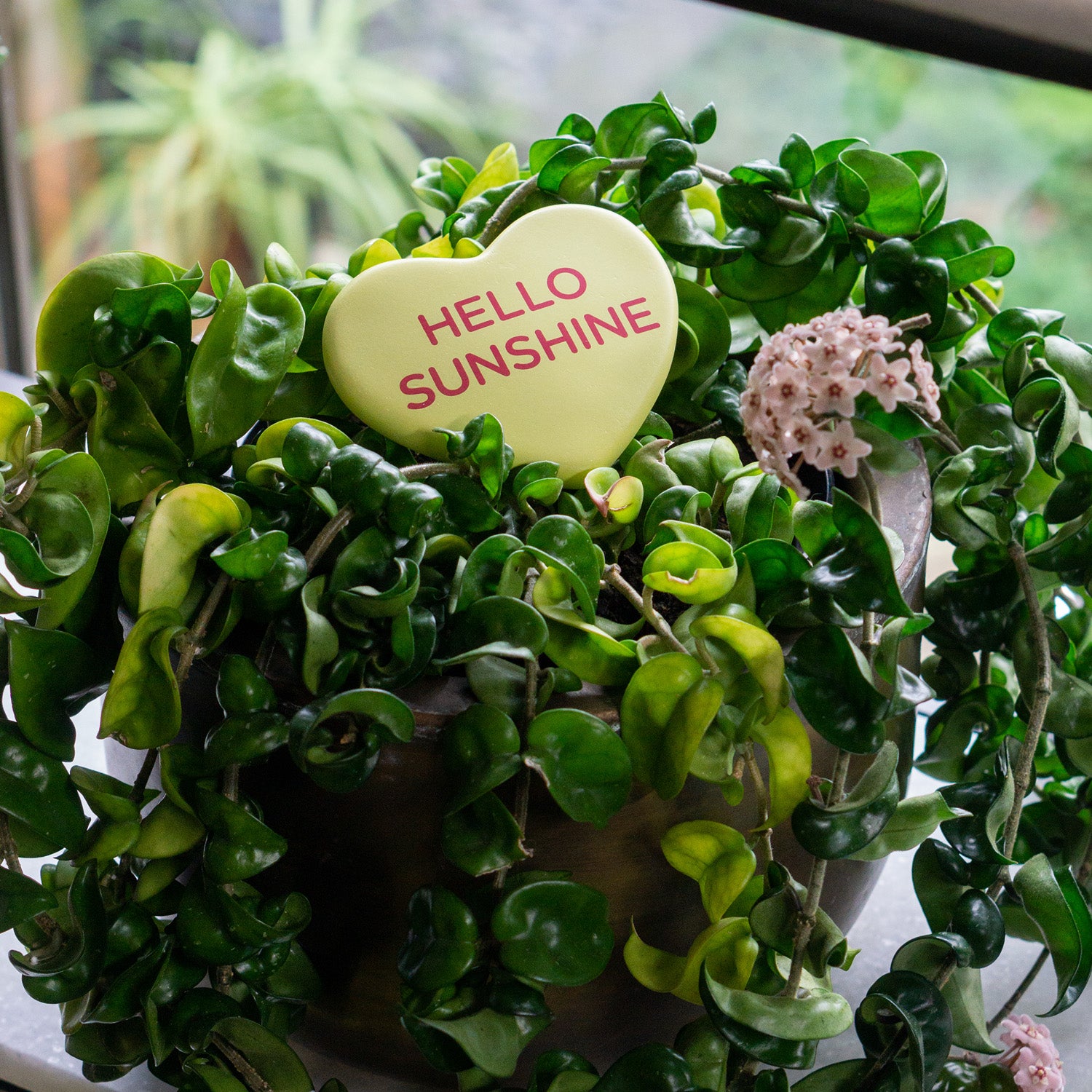 Conversation Heart, Hello Sunshine