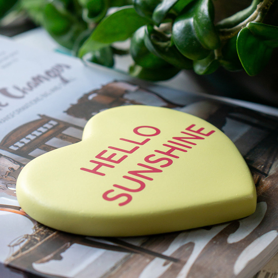 Conversation Heart, Hello Sunshine