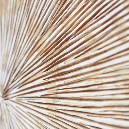 Groove 20&quot;SQ, Brown