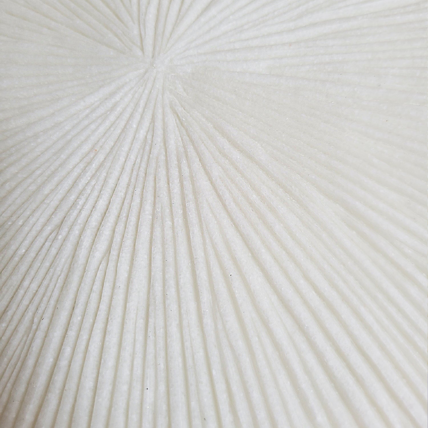 Groove 20&quot;SQ, Cream