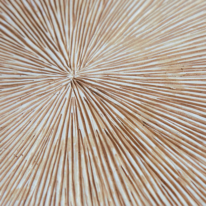 Groove 29&quot;SQ, Brown