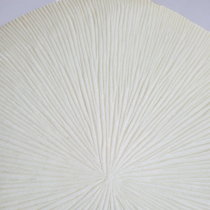 Groove 29&quot;SQ , Cream