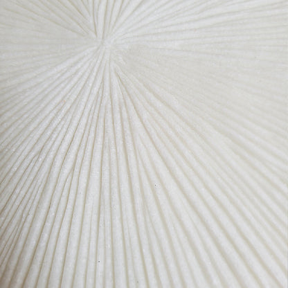 Groove 29&quot;SQ , Cream