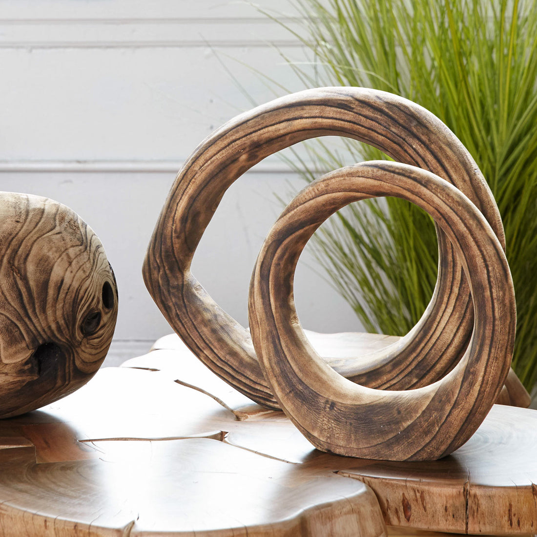 Wood Ring Sculpture, Burned, 15.5"L