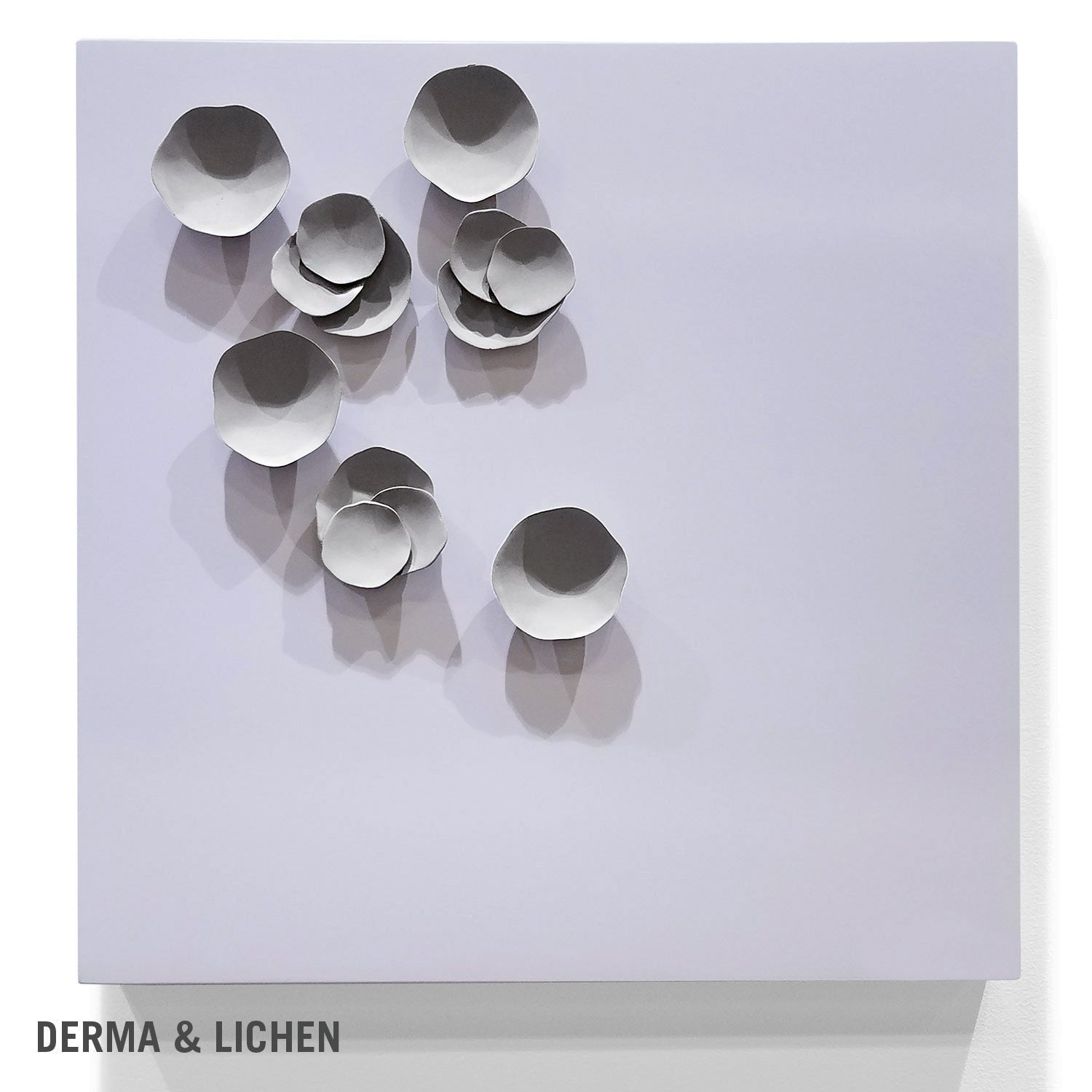 Lichen Wall Play™ Grey Dove