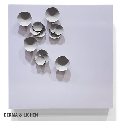 Lichen Wall Play™ Grey Dove
