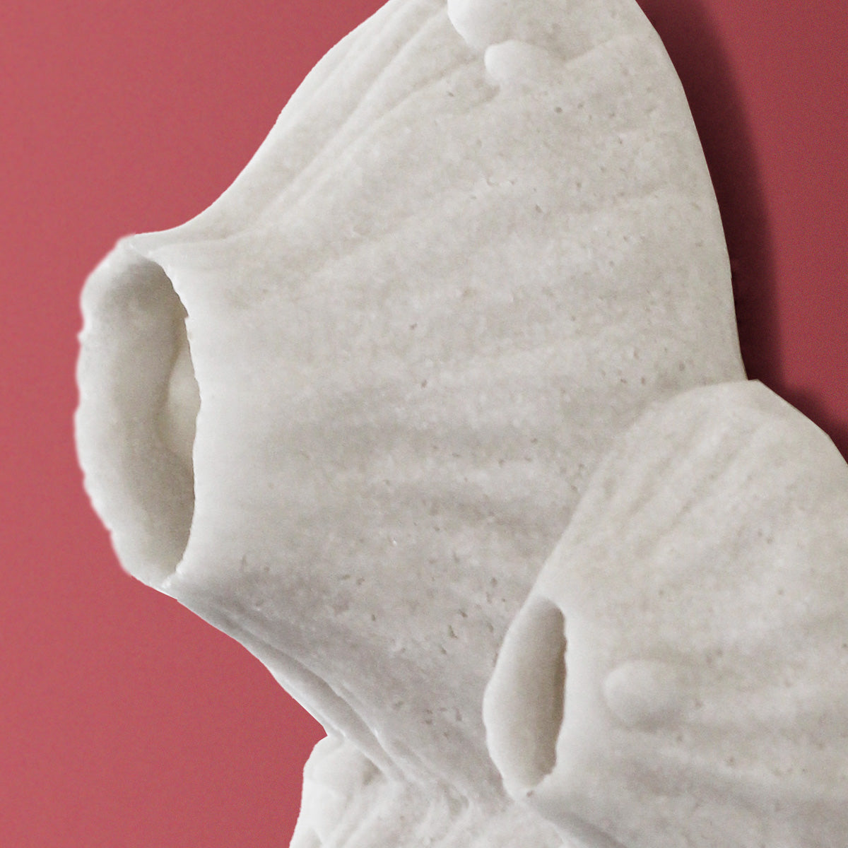 Paleo 6.8&quot;W Wall Art