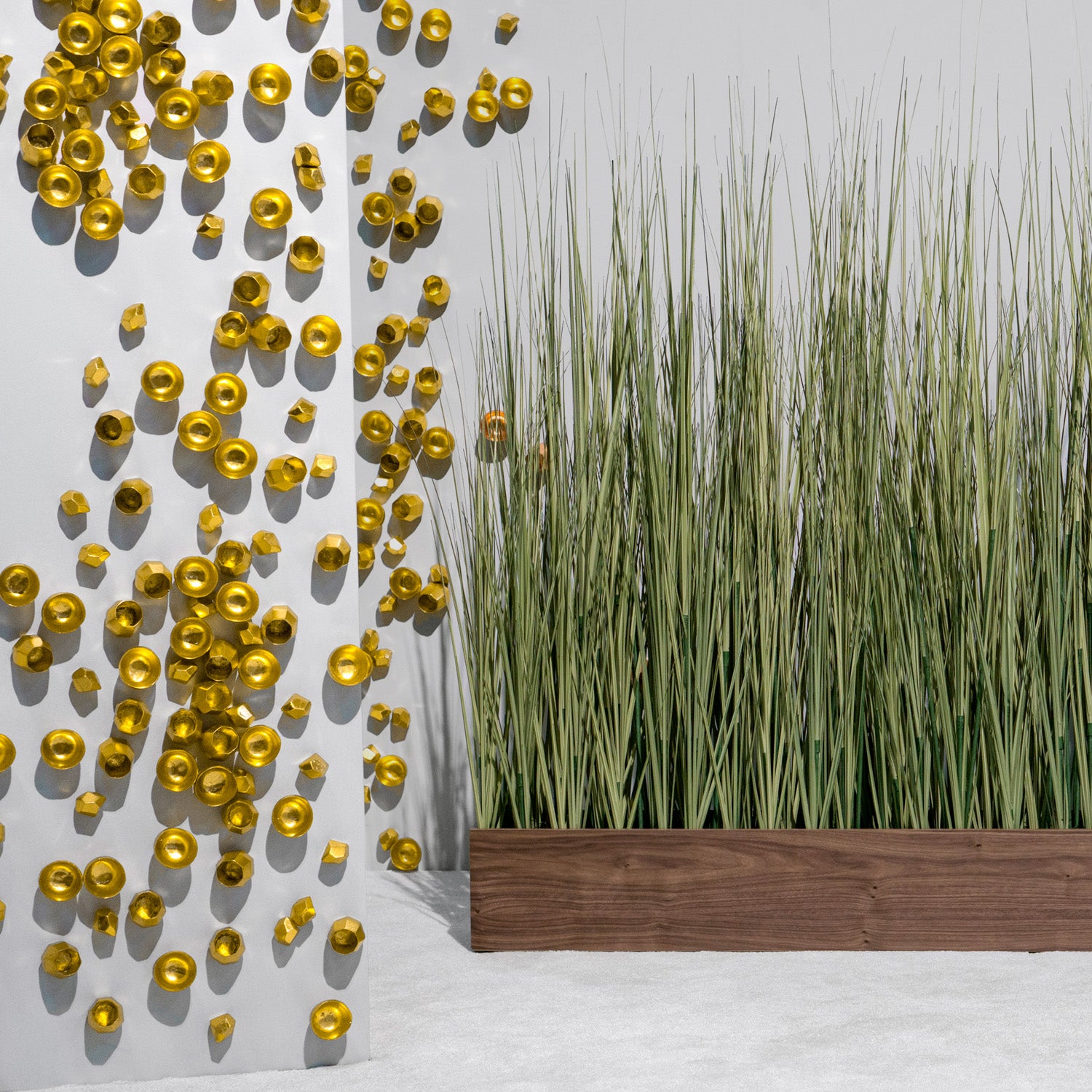 Barnacle Wall Play™ Gold Foil