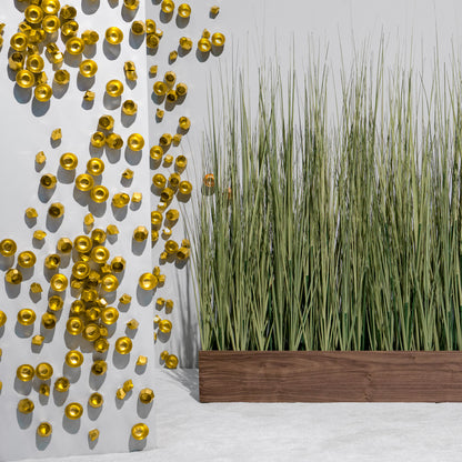 Barnacle Wall Play™ Gold Foil