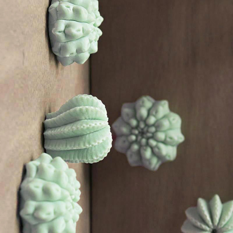 Cactus Wall Play™ Green Mint