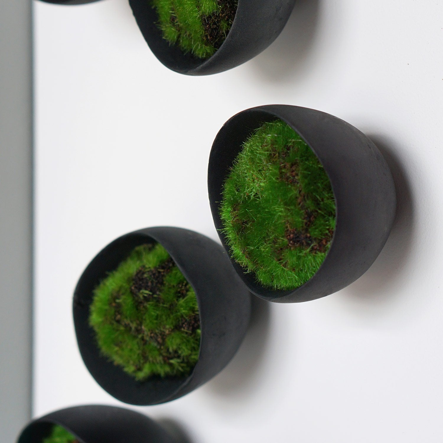 Seed Wall Play™ Black