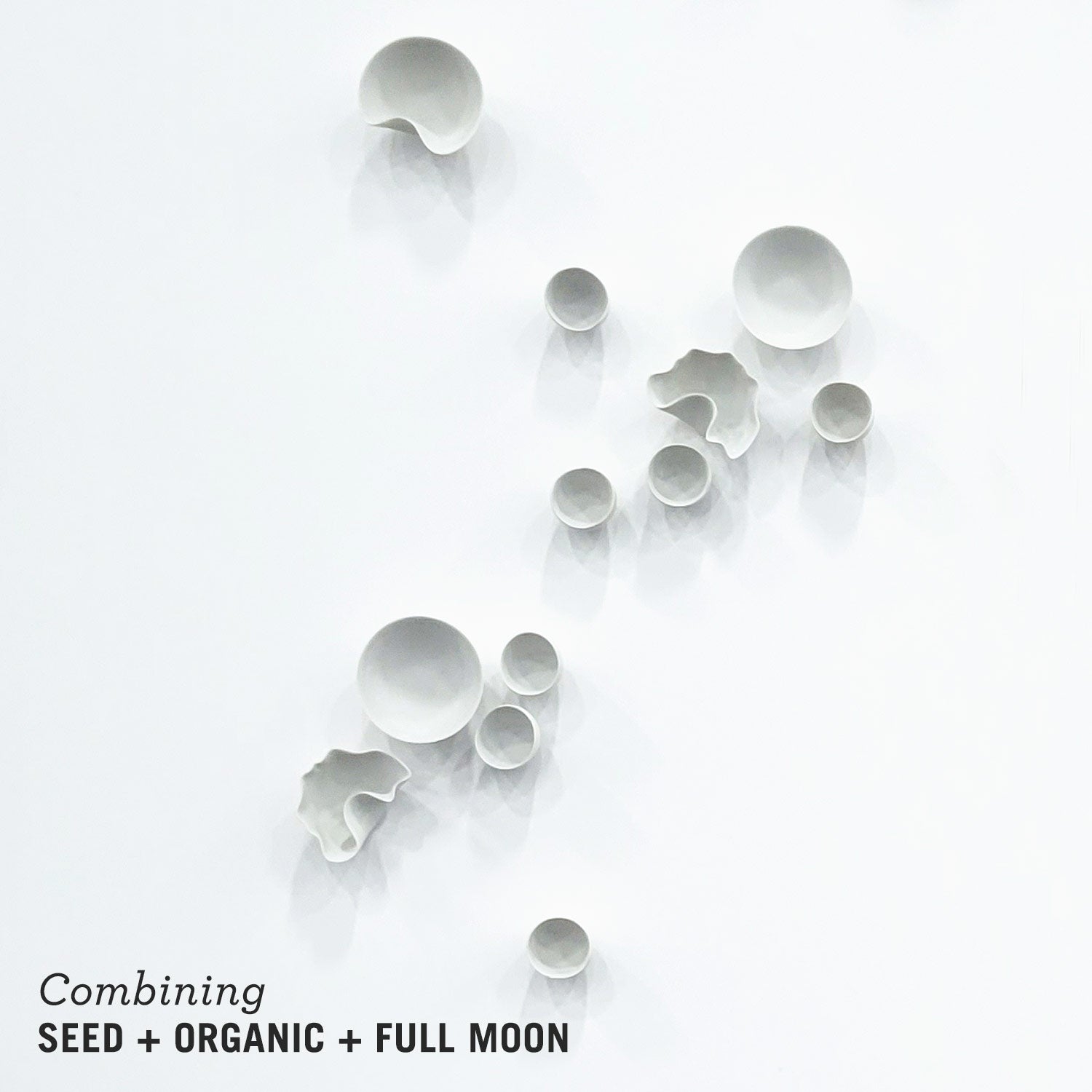 Seed Wall Play™ Off-White