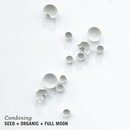 Seed Wall Play™ Off-White