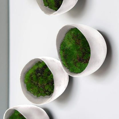 Seed Wall Play™ Off-White